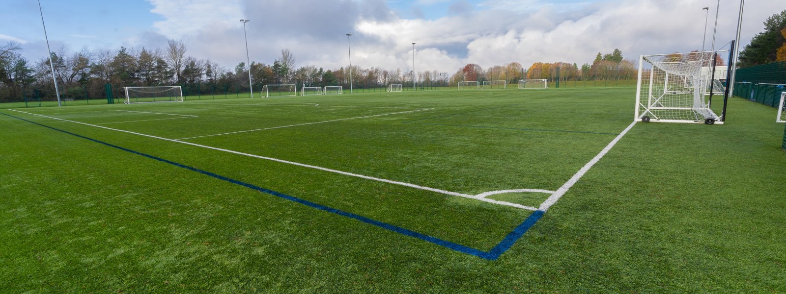 Pitches image
