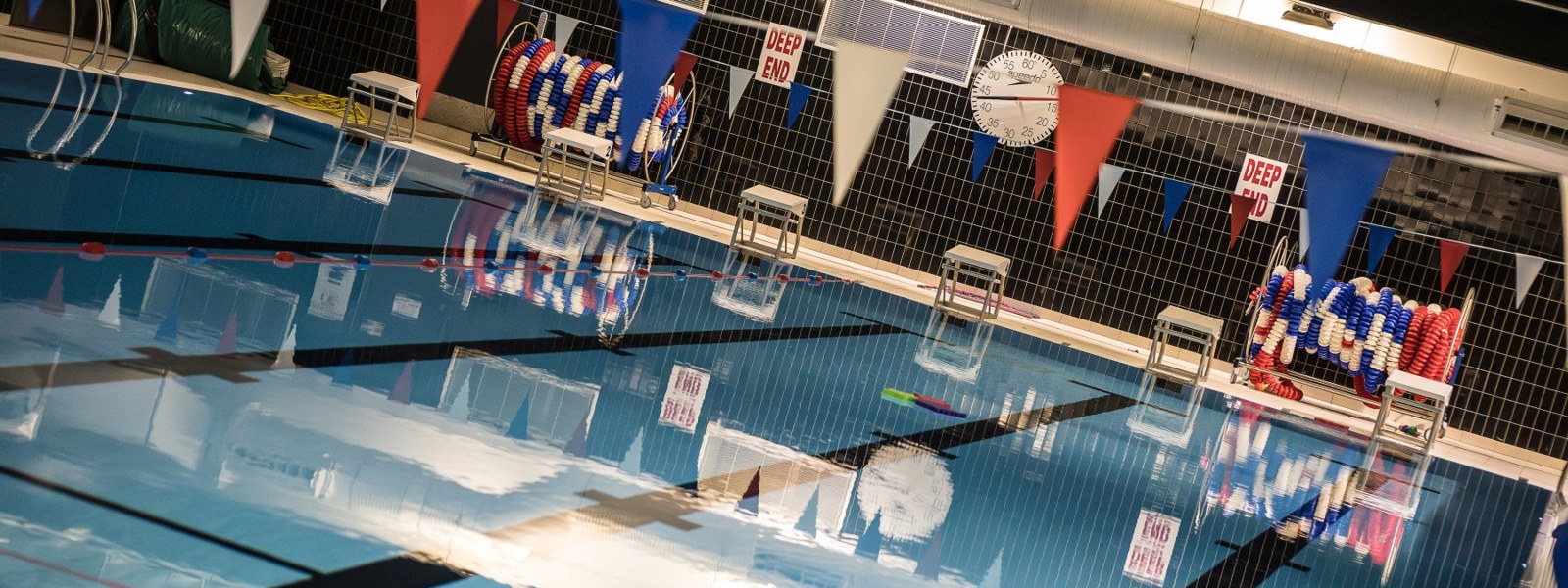 Swimming image
