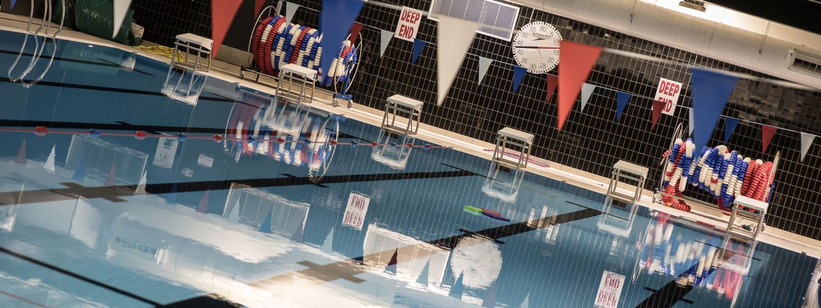 Lane Swimming image
