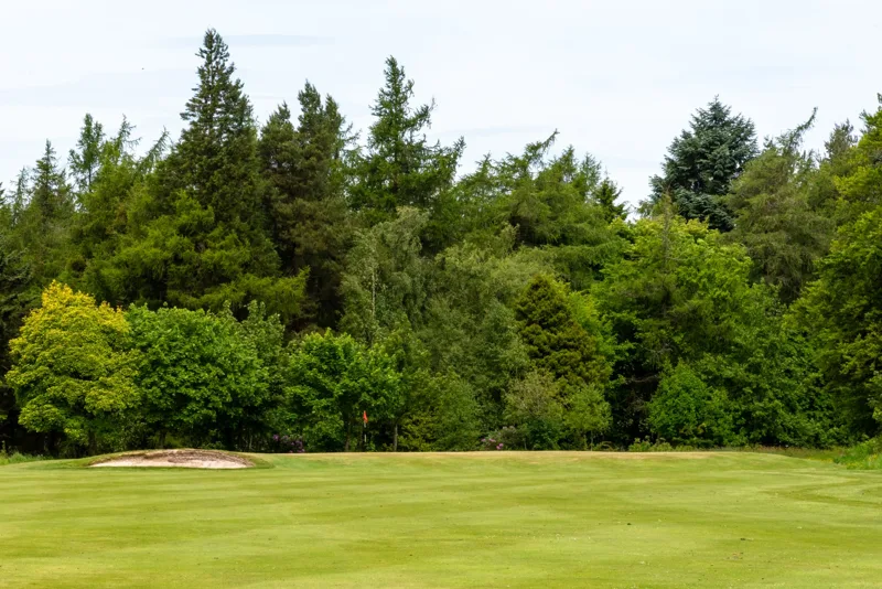 Golf Membership Terms and Conditions