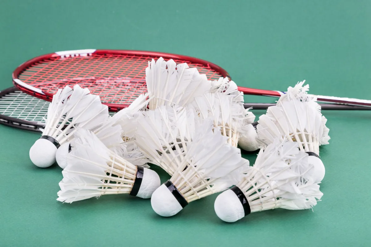 Raise a racquet 